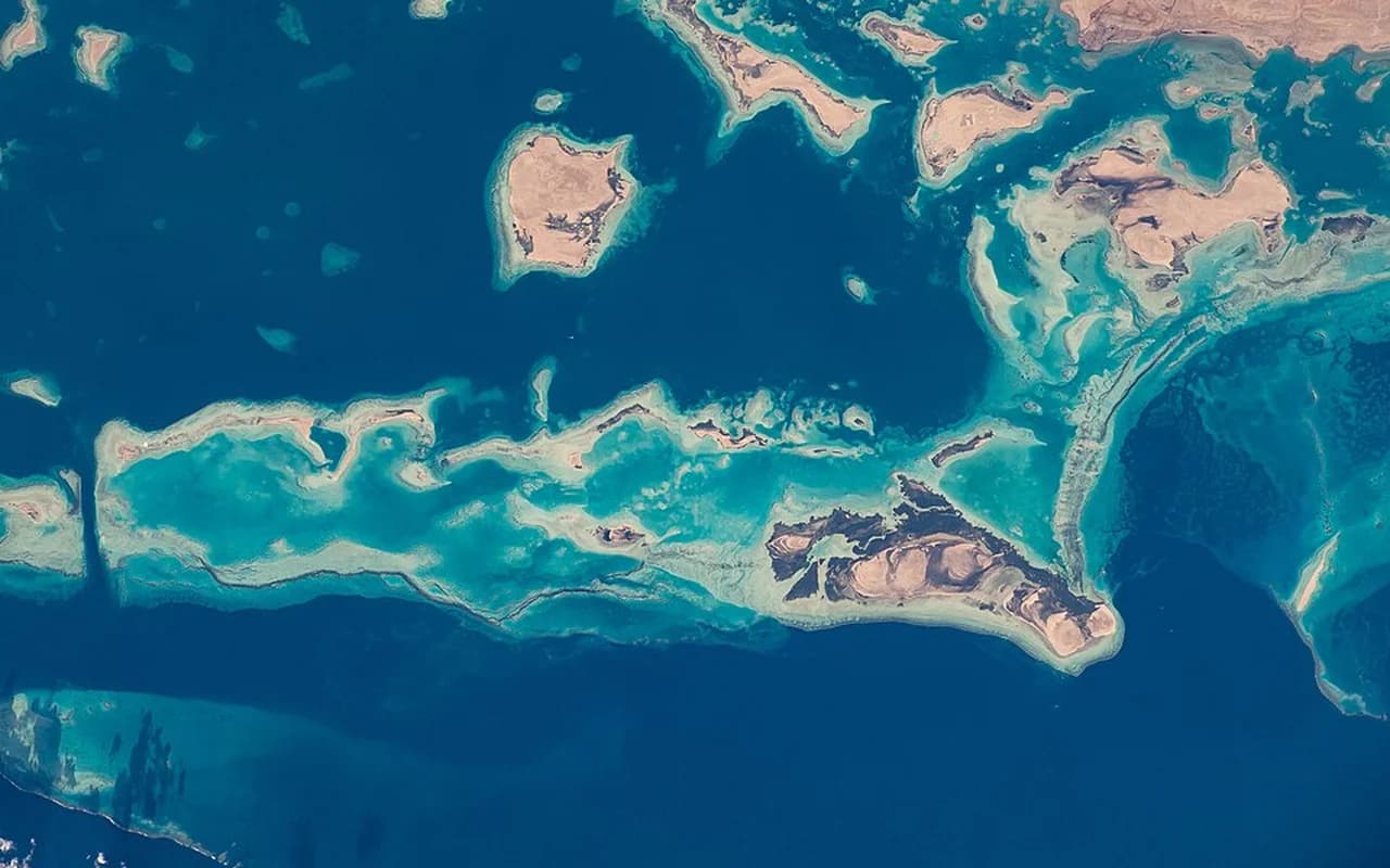 The Red Sea