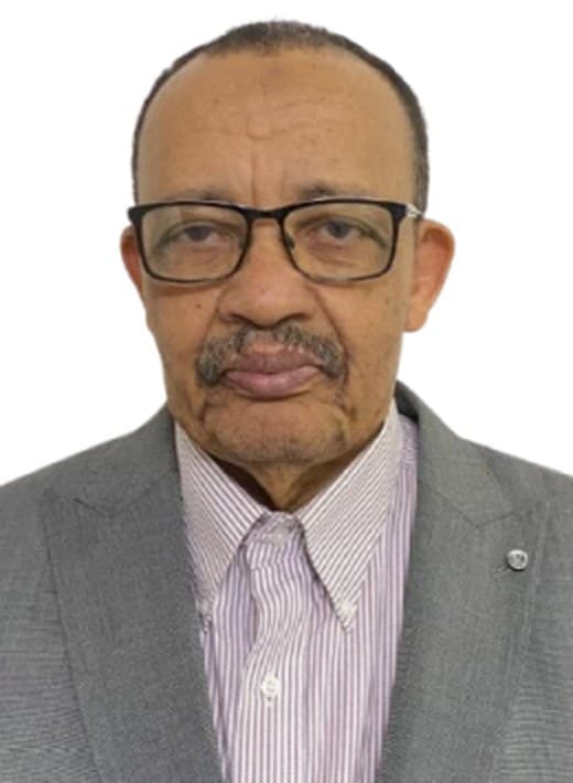 Prof. Ahmed Elsharief